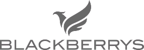 blackberrys-seeklogo